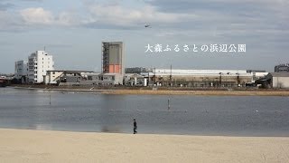 東京の街角で【 大森ふるさとの浜辺公園 】Neighborhoods in Tokyo “ Ōmori Beach ”  2014-2-28