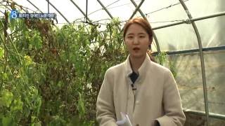 MBC충북 NEWS 161018 또 장애인 노동 착취