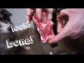 raw meaty bones ft. idahound