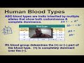 chapter 14 part 4 abo blood types inheritance