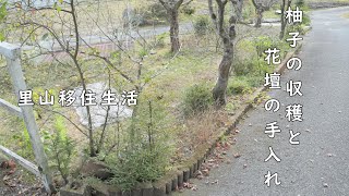 柚子の収穫と花壇の手入れ　『里山移住生活』