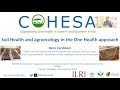 Soil health and agroecology in the One Health approach