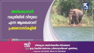 അരിക്കൊമ്പന്‍ വരുതിയില്‍ വീഴുമോ എന്ന ആശങ്കയാണ് പ്രദേശവാസികളില്‍