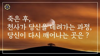 #44 사후세계(1) 죽음 이후, 천사가 당신의 혼을 데려가는 과정 그리고 당신이 다시 깨어나는 곳은?