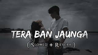 TERA BAN JAUNGA ( Slowed + Reverb ) Lofi Song |  New Lofi Song 2024 | Kabir Singh | #lovesong