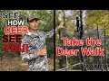 All Bow Hunters Must See This! Simulated Deer Walk in Deer Vision.