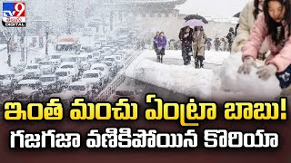 120 ఏళ్ల రికార్డును బ్రేక్‌ చేసేలా హిమపాతం | Korea - TV9