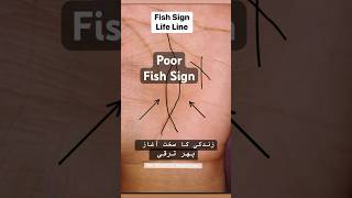 Palmistry | poor fish sign Rich Wealth #palmistry # online #shorts