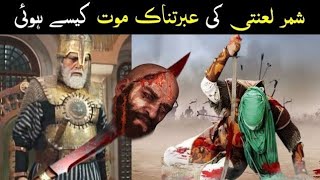 Shimr Death|Shimr ki mout kesy hoi|Karbala waqia imam Hussain|Shimr history|Shimr story