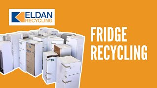 Recycling of refrigerators (fridge) | Eldan Recycling