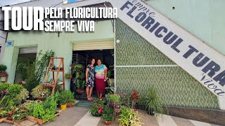 TOUR PELA FLORICULTURA SEMPRE VIVA: A FLORICULTURA MAIS ANTIGA DA MINHA CIDADE, NANUQUE/MG