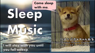 SLEEP MUSIC: Relaxing Music: You can deep sleep with Shiba Inu.