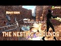 Black Mesa: The Nesting Grounds - Nhiều ký sinh quá