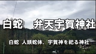 白蛇神社 人頭蛇体宇賀神を祀る神社　弁財天宇賀神社　道祖地蔵尊　神奈川県厚木市