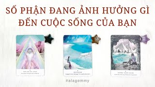 SỐ PHẬN VÀ HỢP ĐỒNG LINH HỒN ẢNH HƯỞNG GÌ ĐẾN CUỘC SỐNG CỦA BẠN‼️❗️🪸🔥🐦‍🔥Tarot🌱🌿🌳