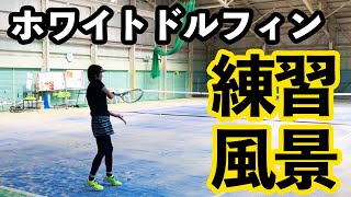 テニスマシン・ホワイトドルフィン 香川県のテニススクールでの練習風景