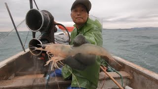 阿阳出海碰上超级大浪，各种海鲜纷纷挂上网，极品大虾比拇指还粗