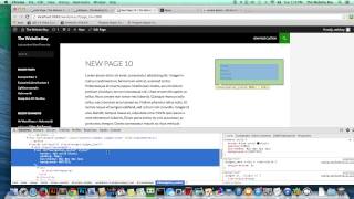 Wordpress How to Add Some HTML to your sidebar and Style it Fast Easy