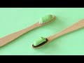 bamboo toothbrushes