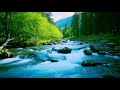 Forest River flowing in Early Morning 4k. Relaxing River Sounds, White Noise for Sleep, Meditation