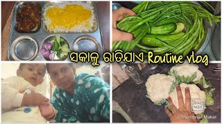 ସକାଳୁ ରାତିଯାଏ Routine 🫣 || fresh ପନିପରିବା ଦେଖି ଭାବିକି ରଖିଦେଲି କଣ ହବ 😜 || odia vlog