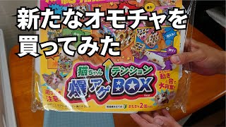 【猫のおもちゃ】テンション爆アゲＢＯＸというのを買ってみた