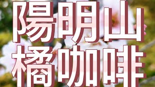 《下班隨便走走》陽明山橘咖啡2023/03/22