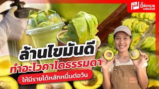 ล้านไขมันดี ทำอะโวคาโดธรรมดาให้มีรายได้หลักหมื่นต่อวัน