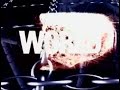 WWE SURVIVOR SERIES 2002 Elimination Chamber PROMO