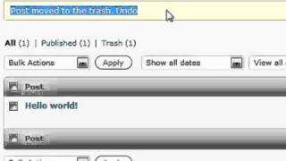 Wordpress 101 (Editing Your Posts)