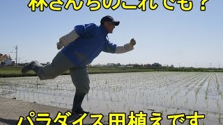 林さんちのこれでも？パラダイス田植えです・2017