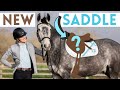 New Custom Saddle Reveal! AD | This Esme