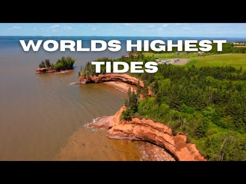 Highest Tides In The World | Burntcoat Head Park, Nova Scotia | Bay Of ...