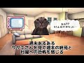 【猫ミーム】休みの日あるある（自宅編）