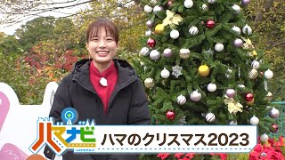 ハマナビ　2023年12月16日放送　ハマのクリスマス2023