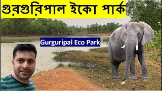 Gurguripal Eco park | Midnapore | Elephant Corridor