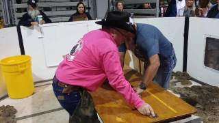 Sweetwater Texas Rattlesnake Round Up 2017