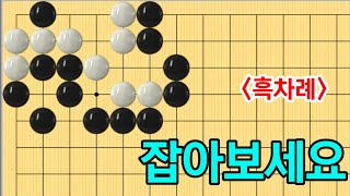 유단자사활 #83 (3단이상)