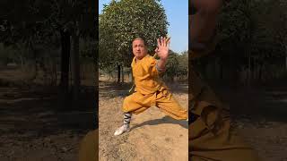 少林武僧擅長用棍，被武僧奉為百兵之祖#shaolin #kungfu #shorts