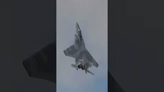 過去1番驚愕したF-15の驚異的機動！コブラもどき2連発！これはもう私達の知っているF-15ではない、全く別物に生まれ変わって現代に再度殴り込んできたAdvanced EAGLE！