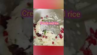 வெண்ணெய் போல் மணக்க மணக்க தயிர் சாதம்/curd rice recipe