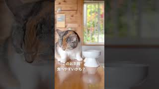 背の高い食器に変えてみた #shorts