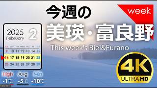 [Biei/Furano this week] It's like a blanket of diamond dust! Week ❸ of February 2025