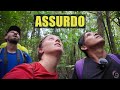 NON PENSAVAMO SAREBBE ANDATA COSI - AMAZZONIA