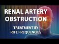 Renal Artery Obstruction - RIFE Frequencies Treatment - Energy & Quantum Medicine with Bioresonance