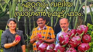 ഇന്ത്യയിലെ ഏറ്റവും വലിയ ഡ്രാഗൺ ഫ്രൂട്ട് ടെറസ് ഫാം