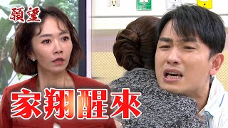 願望 EP127預告｜兒子家翔終於醒來 阿曼達誓言要世賢 愛倫惡毒父女付出代價！@setdramatw