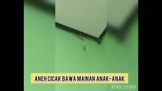 JANGAN KAGET PENAMPAKAN CICAK MENCURI MAINAN ANAK2