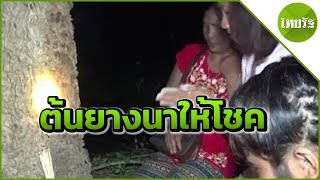 ชาวบ้านแห่กราบไหว้ต้นยางนา อายุกว่า60ปี เชื่อให้โชค | 31-05-62 | ตะลอนข่าว