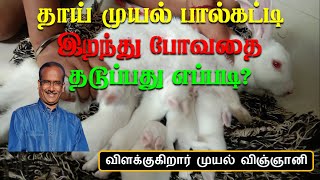 தாய் முயலுக்கு பால் கட்டுவதை தடுப்பது எப்படி, முயல் வளர்ப்பு, முயல் மருத்துவம், Rabbit Encyclopedia